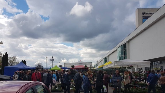 FOTO a VIDEO: Boli sme sa pozrieť či sa tento rok oplatí navštíviť výstavu Flóra