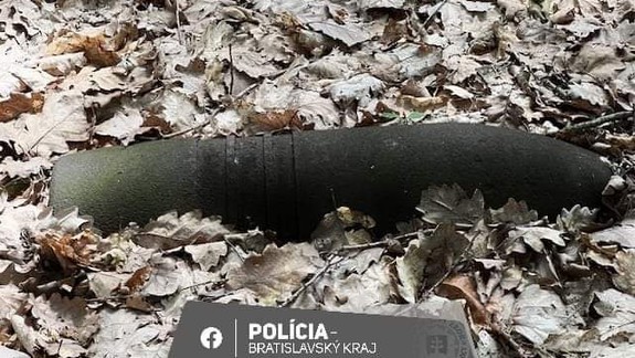 Vo vojenskom obvode Záhorie našiel muž pri prechädzke namiesto húb muníciu z druhej svetovej vojny