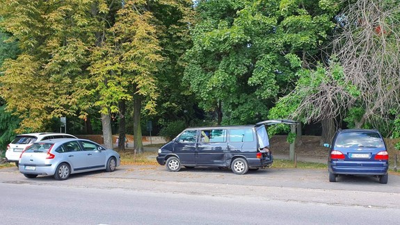 FOTO: Máte problém zaparkovať pri Sade Janka Kráľa? Tohto piknikujúceho kráľa medzi vodičmi to zjavne netrápi