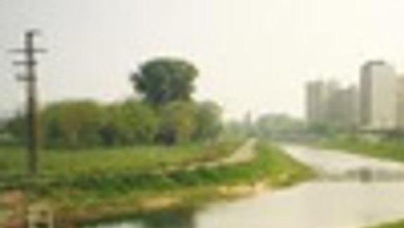 Chorvátske rameno má spustnuté brehy