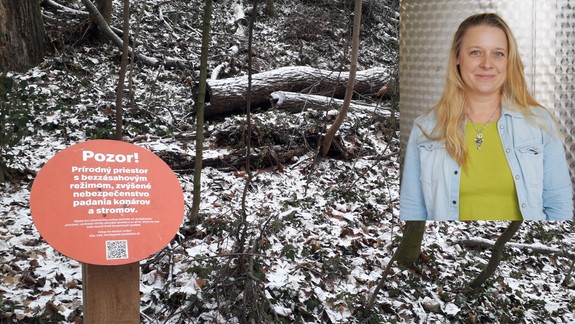 Aktivistka Sabina Barborjak: Horský park si zaslúži ochranu a ľudia bezpečný priestor