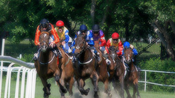 Nezmeškajte posledné dostihy v Petržalke, budú sa konať už túto nedeľu!