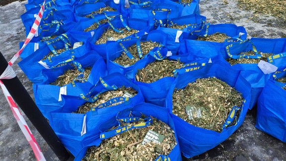 Ďalšie vianočné stromčeky sa menia na mulč, tentoraz v Petržalke