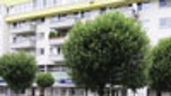 Na námestí vyschlo presne 18 stromov 