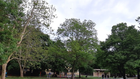 Máte radi yogu? Využite zajtrajší voľný deň cvičením v Medickej záhrade