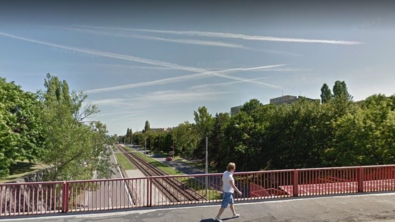 Viete, aké stromy rastú v Karlovej Vsi? Pri podrobnom mapovaní našli dokona i plodiace figy