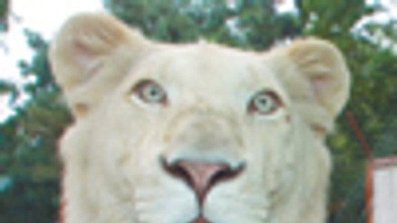 Obyvateľom ZOO sa začala zimná sezóna