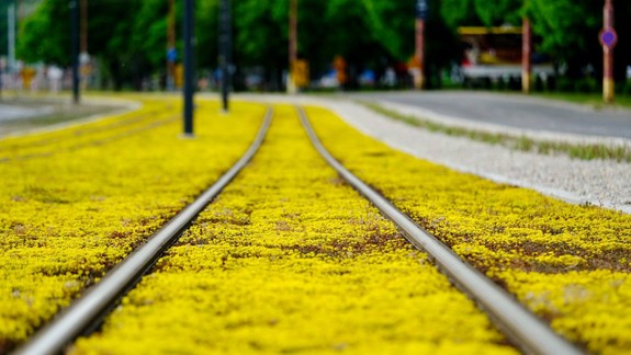 ANKETA: Karloveská električková radiála bude sfarbená do žlta - páči sa vám?