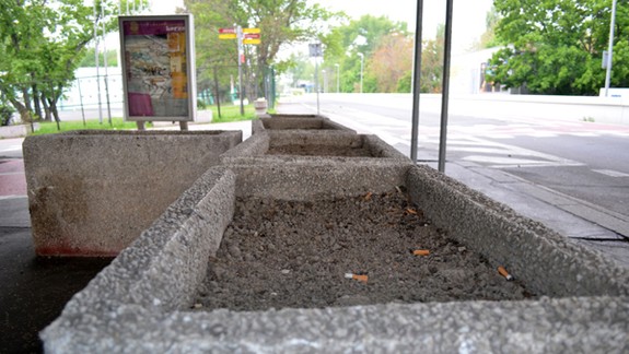 Kvetináče so včelami nepatria zrejme nikomu