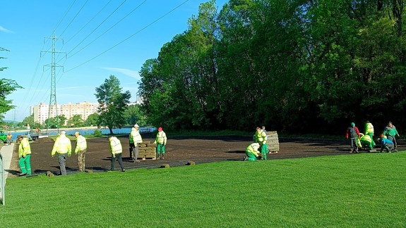 Čo poviete na takéto vylepšenie? Okolie jazera v Petržalke je opäť zelenšie