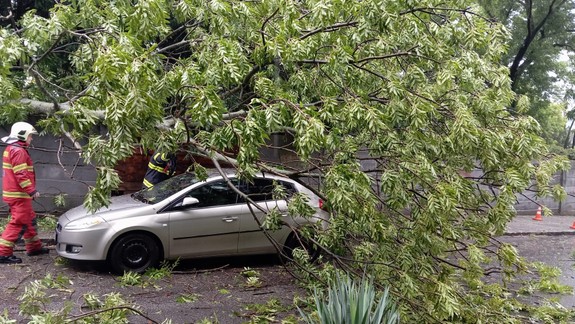 Výčiny počasia: V Bratislave padali na cesty konáre i celé stromy
