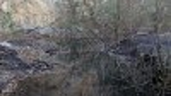 Mestská časť asi odkúpi skládku gudrónov