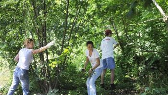 Sezóna jednodňového dobrovoľníctva sa začína: Zapojte sa aj vy