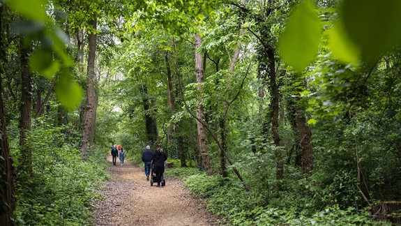 Mestské lesy zasiahli v lesíku v Ovsišti, cieľom boli zvýšiť bezpečnosť, pribudli i lavičky