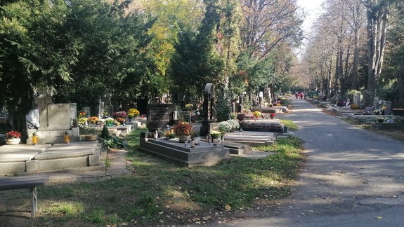 ŠÚ SR: Nový koronavírus sa v októbri opäť podpísal pod nadúmrtnosť Slovákov