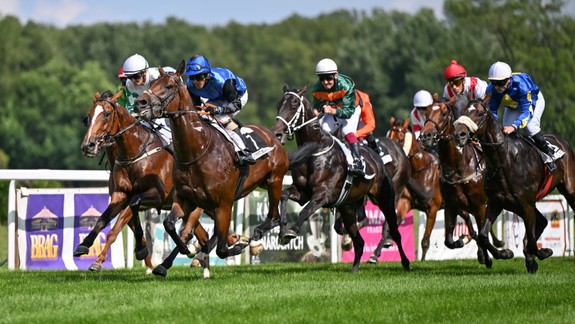 Dostihy: Na mítingu Turf gala sa predstaví 25 koní zo slovenského tréningu