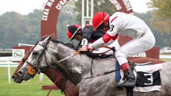 Víťazom Veľkej októbrovej ceny ryšiak Pacino Mo