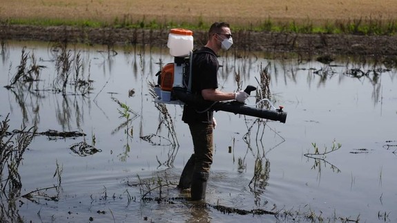Bratislavčanov vo veľkom atakujú komáre, k situácii sa už vyjadrilo aj mesto