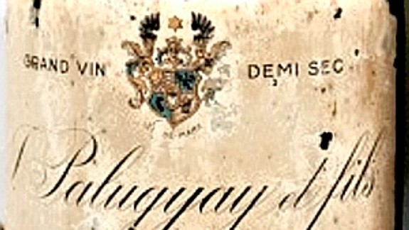 Z miestneho vinára najväčší vývozca vína