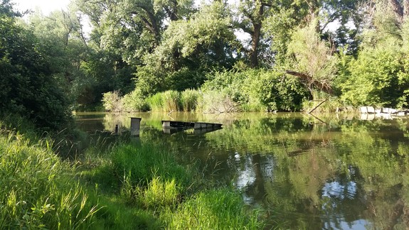 HISTÓRIA: V Ovsištskom ramene odpočíva aj krásny parník Bratislava