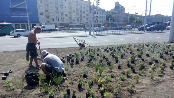 ÚVO udelil Bratislave pokutu 41.506 eur pre zmluvu na údržbu zelene