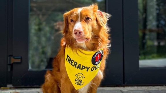 Deťom s poruchami príjmu potravy pomáhajú v nemocnici pri terapii aj psi