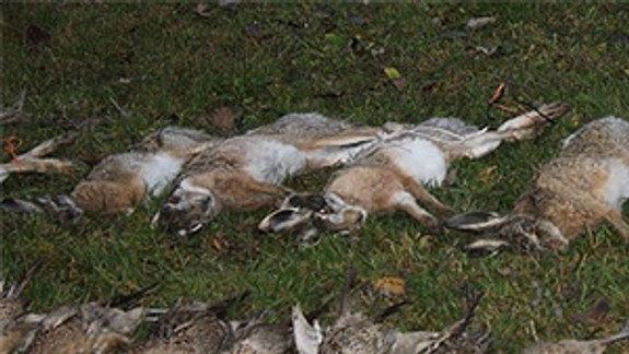 Vajnorskí poľovníci sa rozlúčili so sezónou odstrelu malej zveri