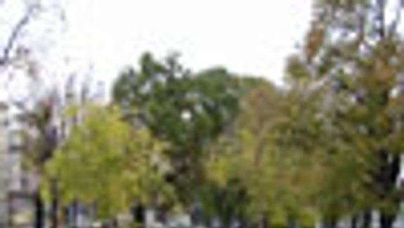 V parku začali obnovovať zeleň a chodníky