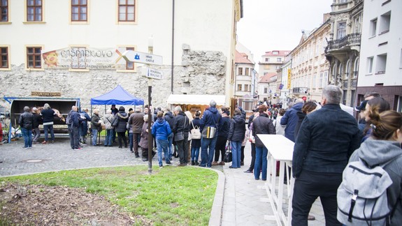 Žltačka v Bratislavskom kraji by mala byť na ústupe, aj tak sa treba chrániť
