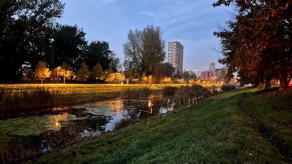 V štúdii o zástavbe pri Chorvátskom ramene nehájime záujmy developerov, tvrdí architekt Šujan