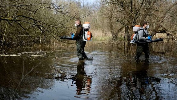 Prvý zásah: Mesto už zakročilo proti komárom