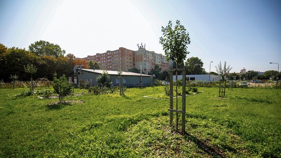 Zelená oáza na Macharovej je pekná, ale zatiaľ opustená