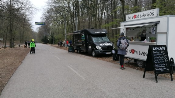 Mestské lesy odstránia na Kamzíku 12 nebezpečných stromov