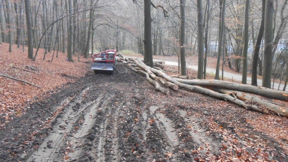 FOTO: V Malých Karpatoch dochádza k nešetrnej ťažbe dreva, tvrdí iniciatíva Naše Karpaty