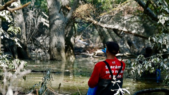 Mesto zasahovalo na 355 liahniskách komárov na celom svojom území