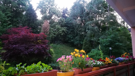 FOTO: Verili by ste, že toto je pohľad z bratislavského paneláku? Tipnite si, kde sa tento raj nachádza...