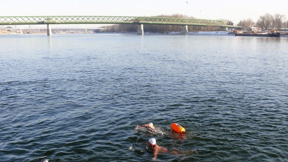 Otužilci otvárajú sezónu: V Dunaji budú plávať „od Štúra k Štefánikovi“