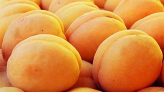 Do Petržalky sa v sobotu vrátili marhuľové tradície