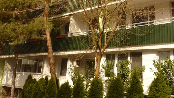 Chcete si pri bytovke vysadiť stromčeky? Pozor, musíte dodržať pravidlá