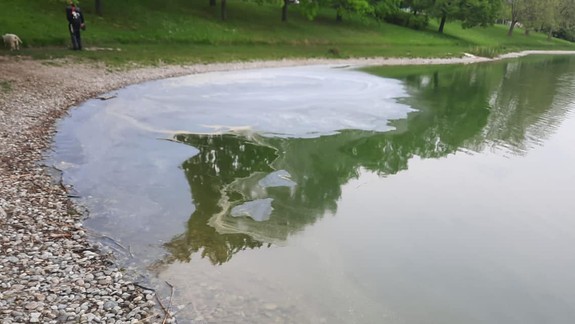 FOTO Spozorovali ste ho aj vy? Záhadný fľak na Štrkoveckom jazere sa podarilo objasniť