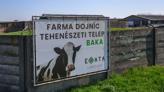 Mimoriadne núdzové opatrenia pre slintačku a krívačku vstúpili do platnosti