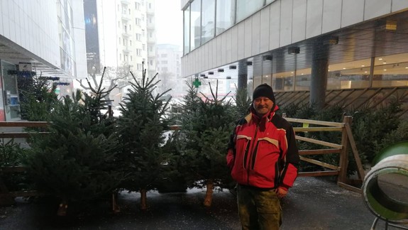 VIDEO a FOTO: Vianočné stromčeky: Kde sa oplatia najviac?