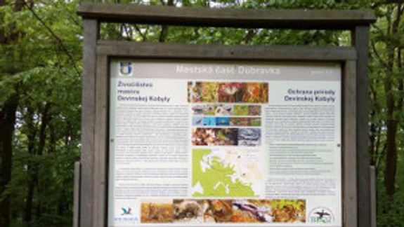 Náučný chodník v Dúbravke je opäť verejný