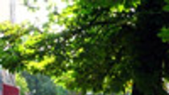 Blumentálsku by mali začať revitalizovať v lete