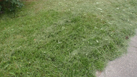 Petržalka chce tento rok kosiť menej často