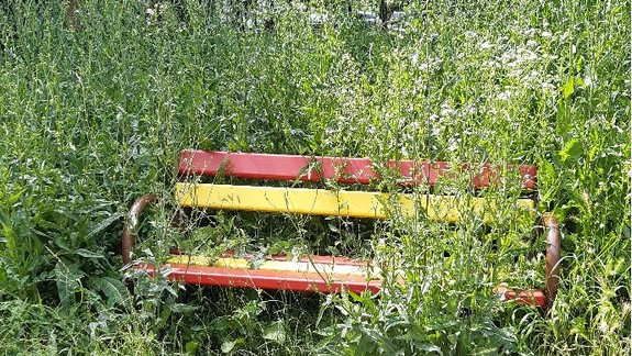 Aj táto lavička na Piešťanskej ulici je dôkazom, že niekedy by sa zeleň pokosiť mala...