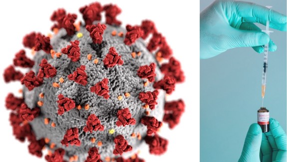 Ministerstvo zdravotníctva tvrdí, že protilátky nie sú indikátorom pri rozhodovaní o očkovaní