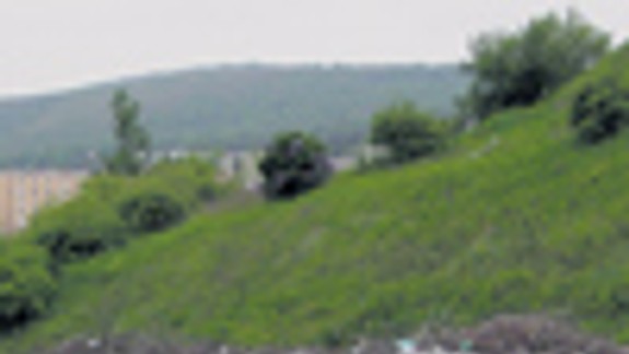 Nad Lamačom je raj čiernych skládok