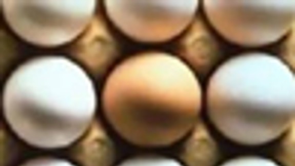 Veterinári našli v Tescu Lamač plesnivé vajcia