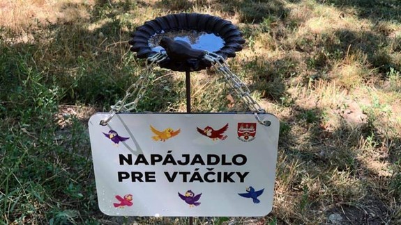 Ružinov osádza vtáčie napájadlá s vodou, ale aj napájadlá pre ježkov